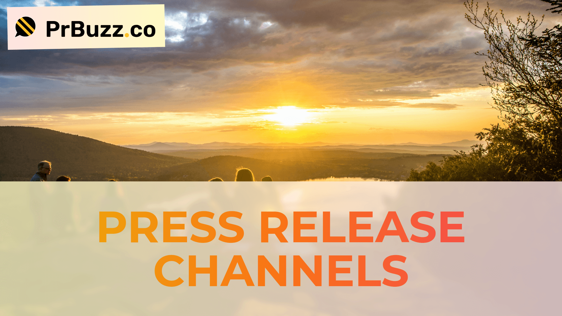 Top 5 Press Release Channels for Effective Business Growth