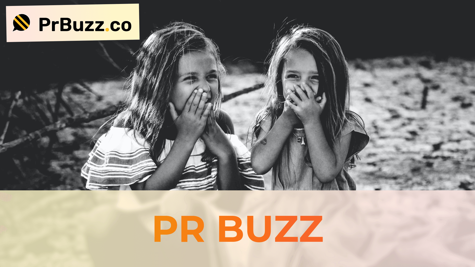 Press Release Submission SEO