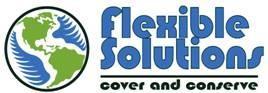 FSI ANNOUNCES TEN CENT SPECIAL DIVIDEND
