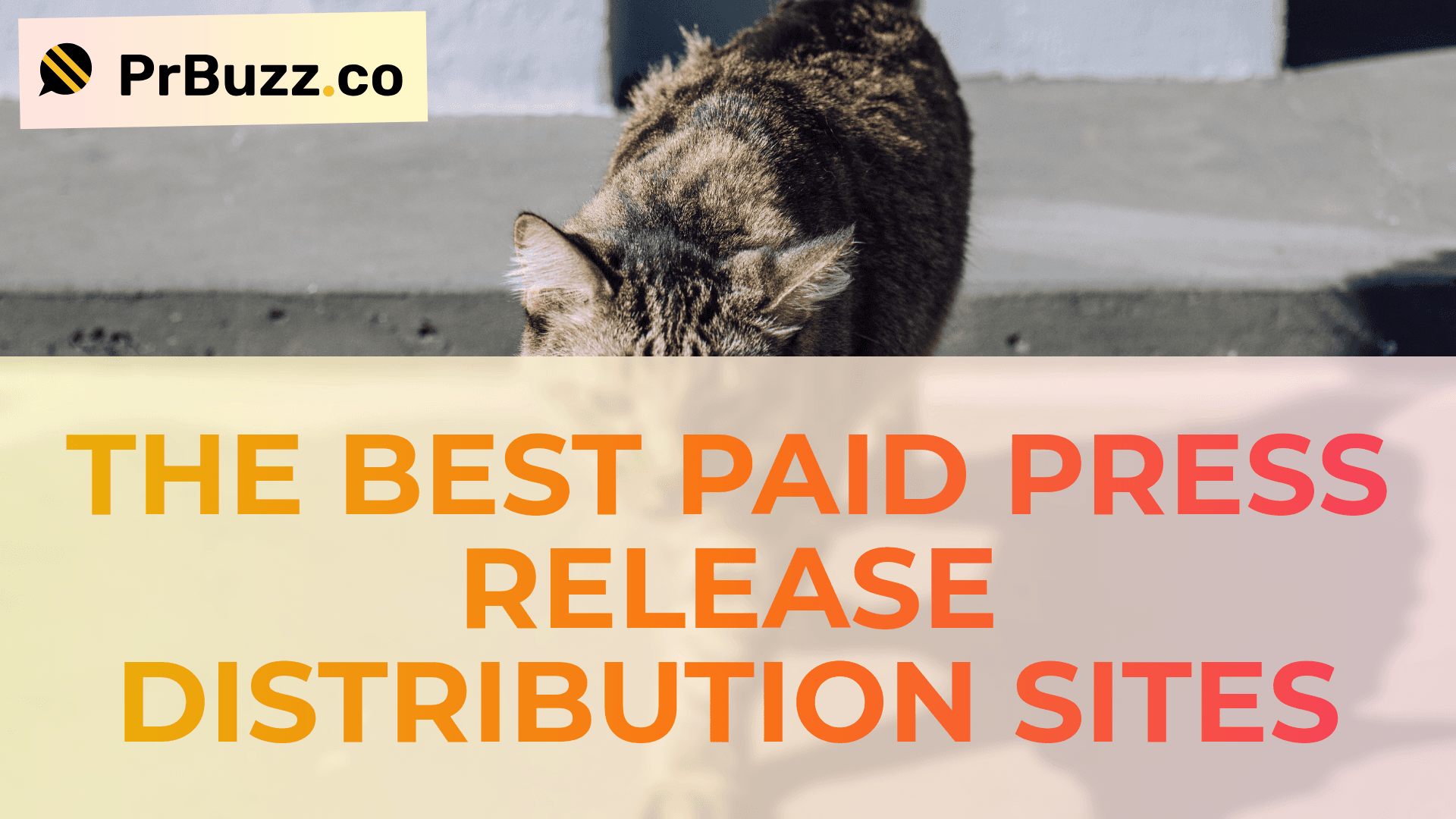 Best Paid Press Release Distribution Sites