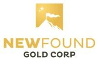 New Found Gold Commences 2025 Work Program on the Queensway Gold Project