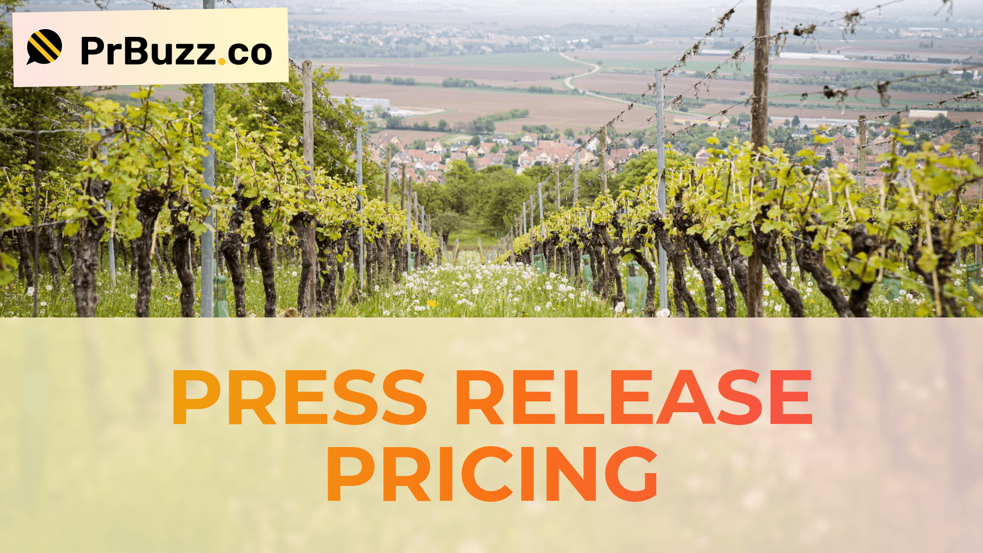 Press Release Distribution Pricing