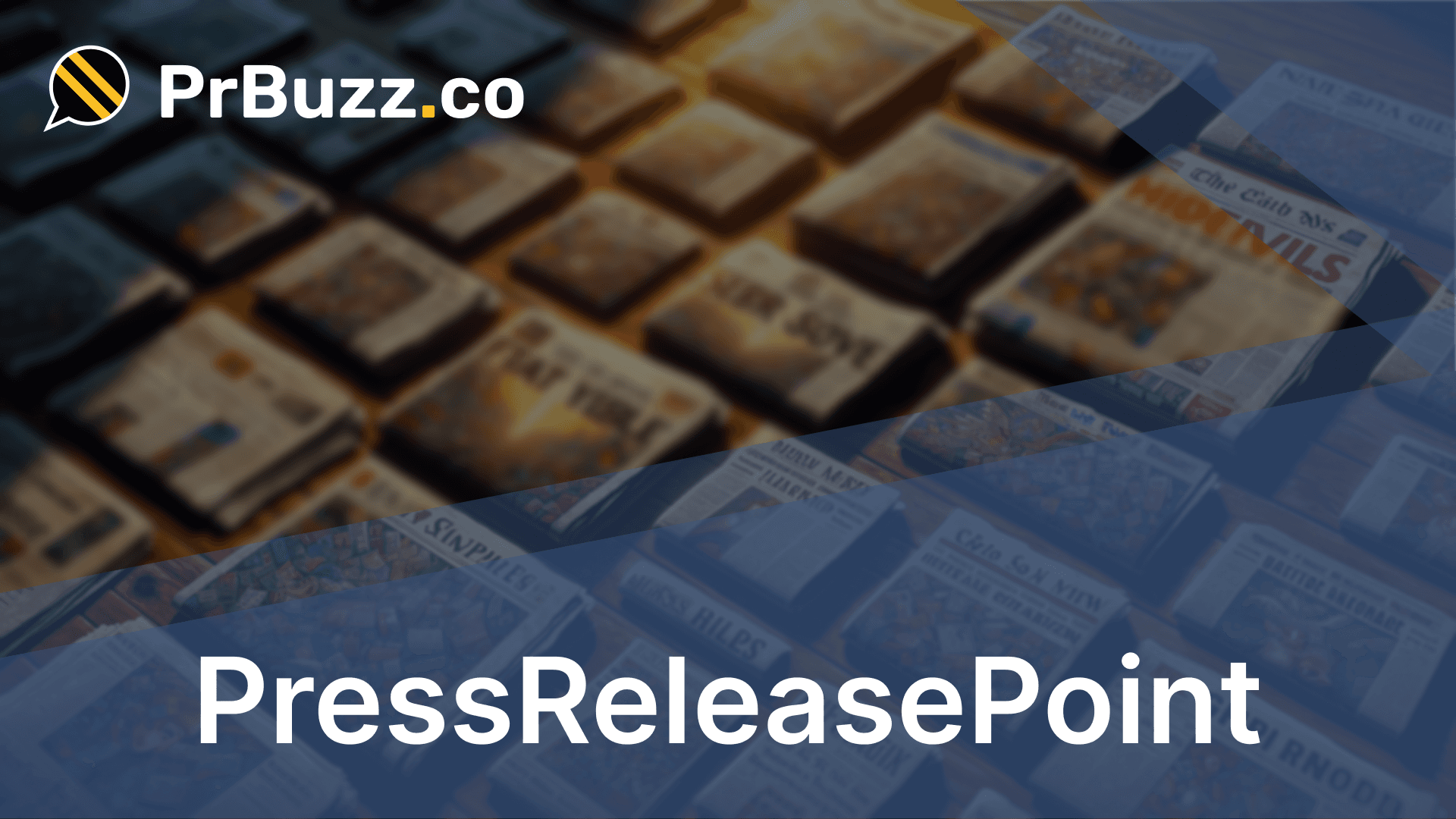 PressReleasePoint Review