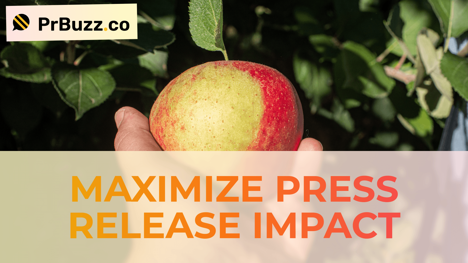 Best Press Release Distribution