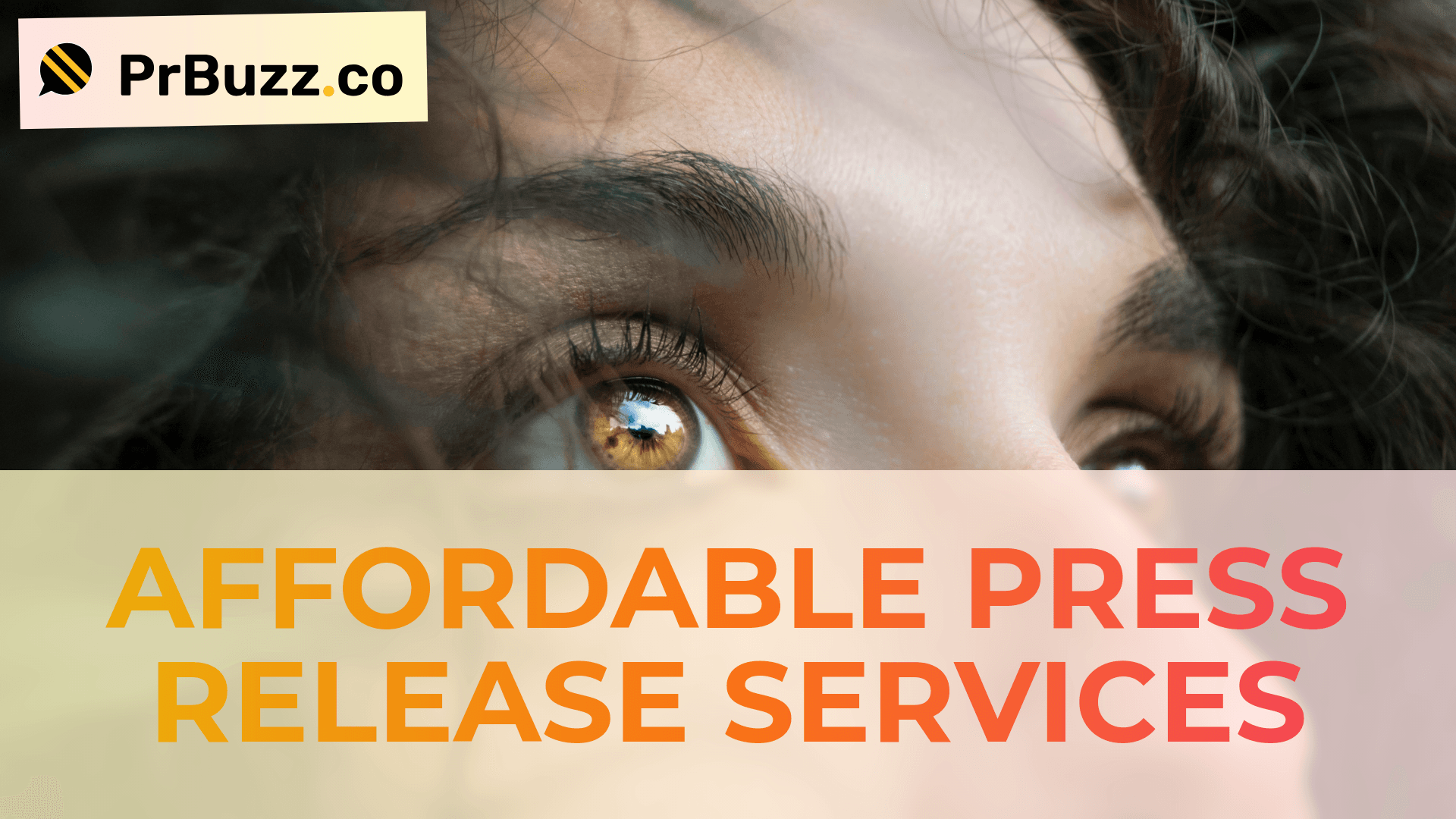 Top 5 Cheap Press Release Distribution Services