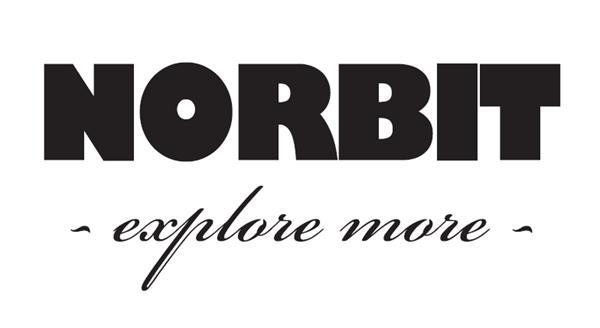 NORBIT – Award and exercise of restricted stock units