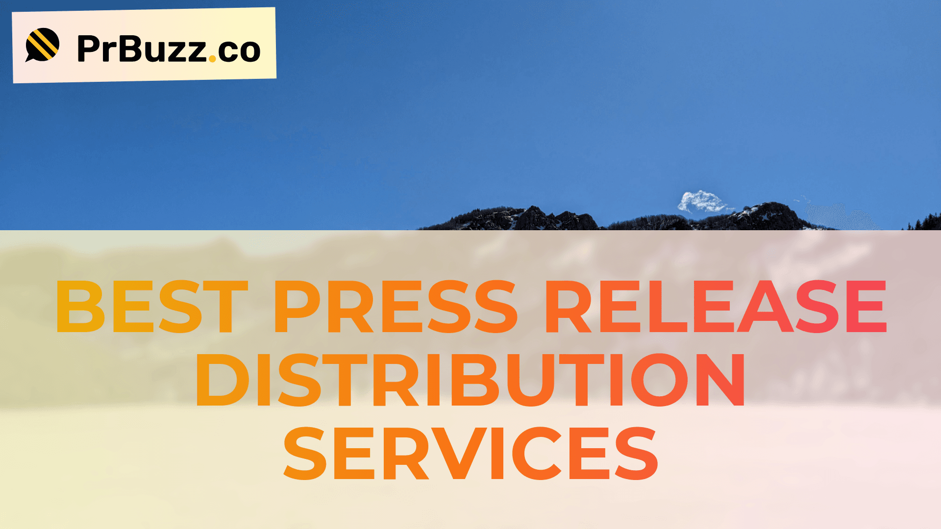 Best Press Release Distribution Services