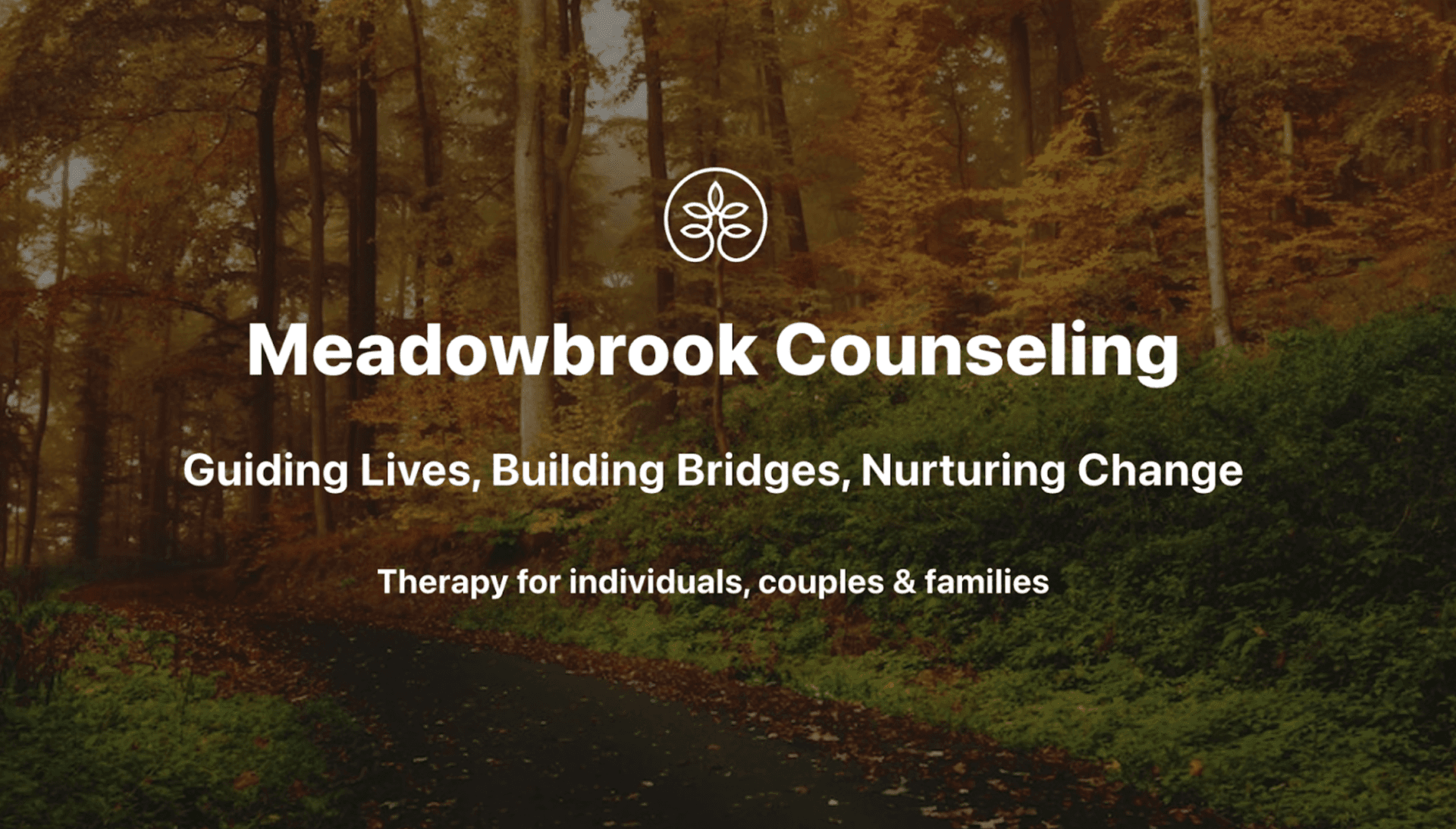 Meadowbrook Counseling Launches Innovative TMS Therapy in Orem, Utah, Offering a New Approach in Depression Treatment